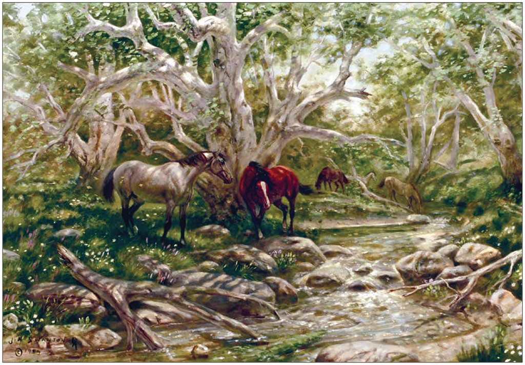 Piece of Whiffle Tree in Cachanga